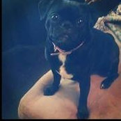 Jamie Sampson's photo