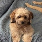 Andrea Draper-Calhoun's photo