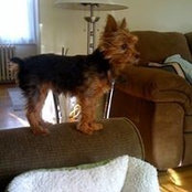 Maryann Montana-Durse's photo