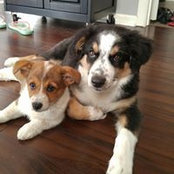 Jamie Hermansen's photo