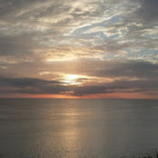 Vincent Cuviello's photo