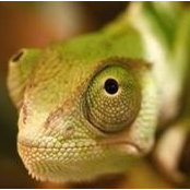 Clarke Schoeck's photo