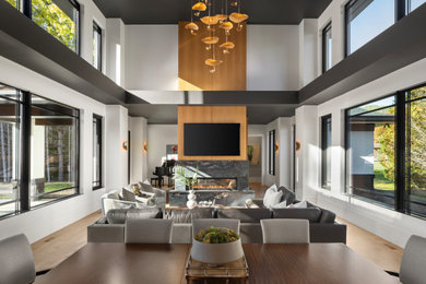 Inspiration for a modern light wood floor dining room remodel in Minneapolis