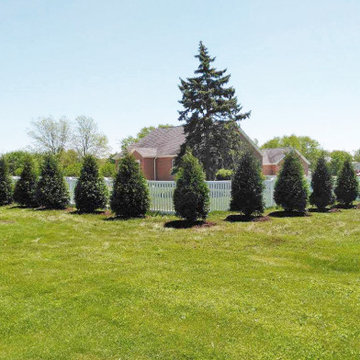 Privacy Hedge Along Fencing