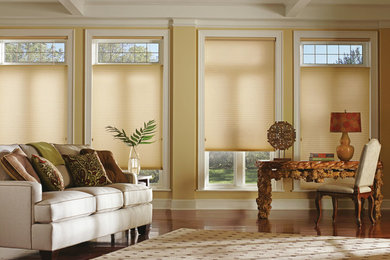 Living room - traditional living room idea in Phoenix