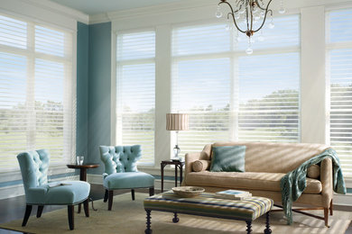 Living room - mid-sized traditional formal and open concept dark wood floor living room idea in Phoenix with blue walls, no fireplace and no tv