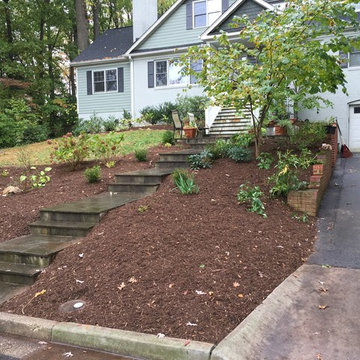 Before/after: cleanup & mulching