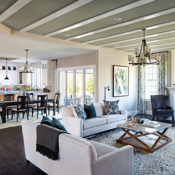 Transitional Living Room