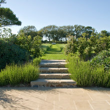 front yard