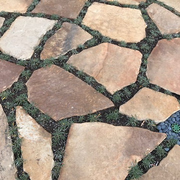 Danihils Residence Encinitas, CA by AAA Landscape Specialists, Inc. 760-295-1980