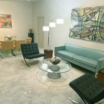 Mid-Century Contemporary Remodel