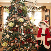 Christmas Trees
