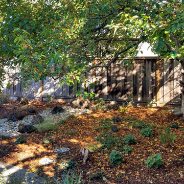 A Garden for Relaxation and Nature Observation