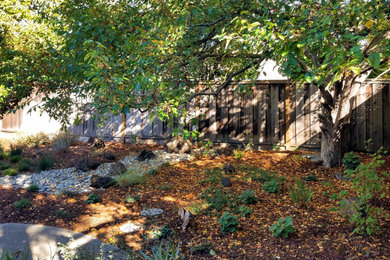 This is an example of a mid-sized drought-tolerant backyard landscaping in San Francisco.