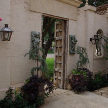 Patio Ideas