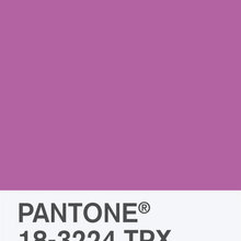 Pantone Color of the Year