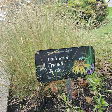 Pollinator Friendly Paradise