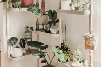 La estantería de Charlotte: plantas ordenadas en su piso en París