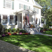 Front Yard Flowers