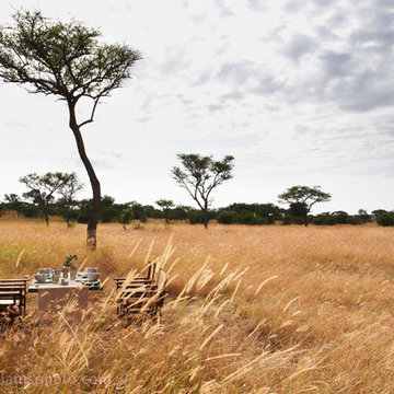 Explore, Singita Tented Camp, Tanzania