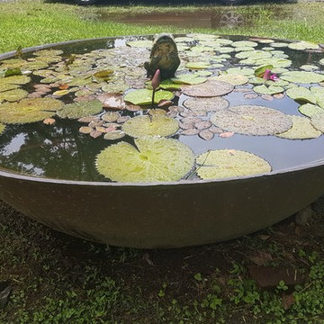 Frog Fountain Sugar Kettle Water Feature
