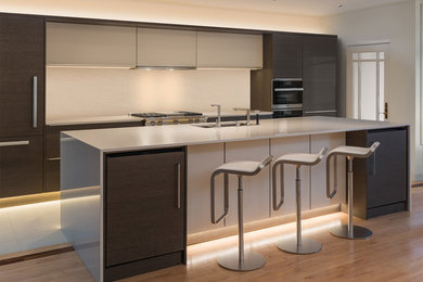 Example of a minimalist light wood floor kitchen design in Chicago
