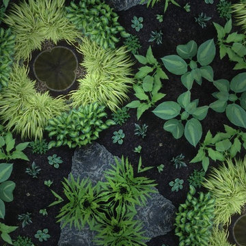 Plant Lovers Garden