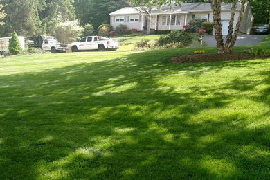 BRS Organic based lawn care photos