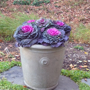 Seasonal Containers