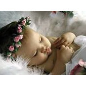 Angela Warren Louagie's photo