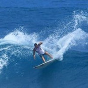 Patrice Bertron's photo