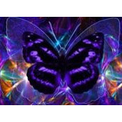 Jeannie DeWitt's photo