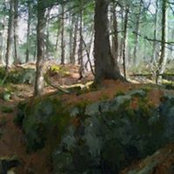 Susan O'Brien's photo