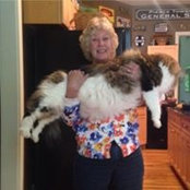 Robin Boberg's photo