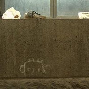Shaun Pearce's photo