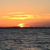 Ann Mickow's photo