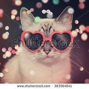 Joyce Worthington's photo