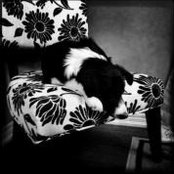 Leslie Ballam's photo