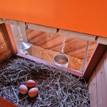 chicken coop