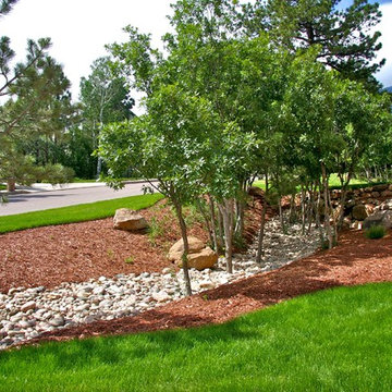 Landscapes and Xeriscapes