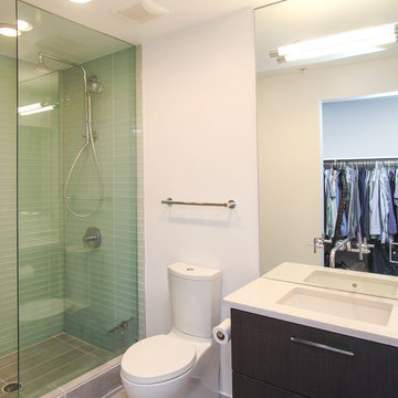 Columbia Heights Condo Renovation