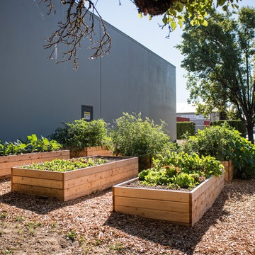 Edible Garden Gallery