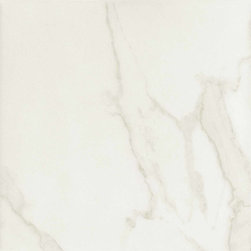 Muse Calcatta - Products