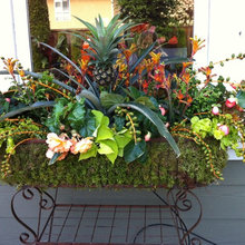 Plant Stand