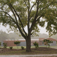 Front yard landscape