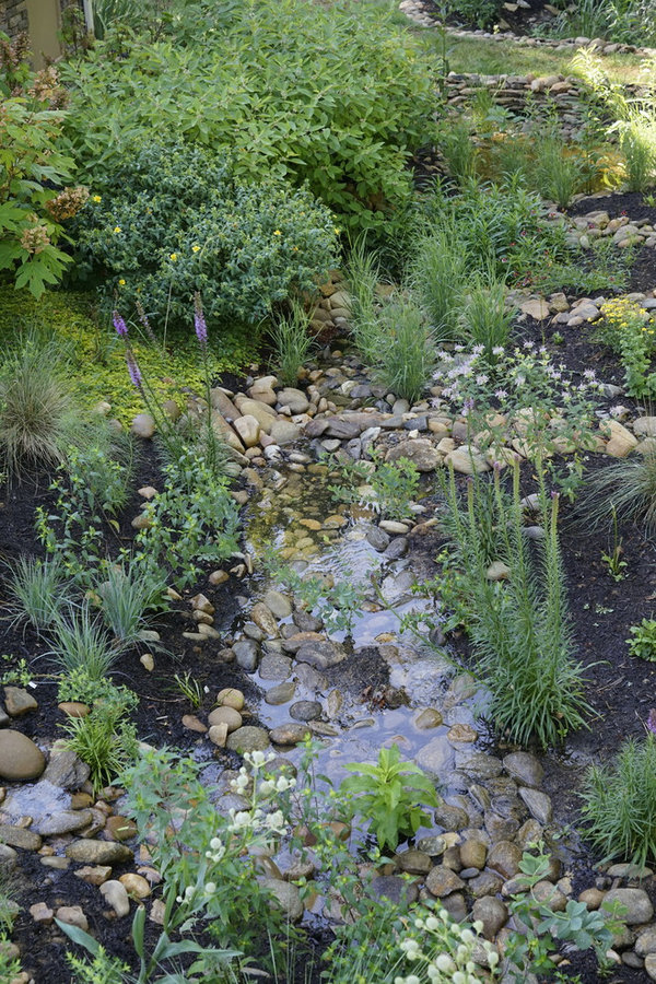 French Broad Rain Garden