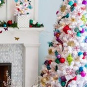 Darla Delk Tingley's photo