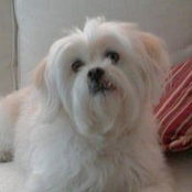 Foto de Sally Benedict
