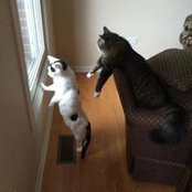 Lucy Rude's photo