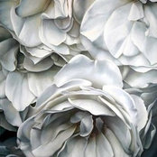 Sandi Diel's photo